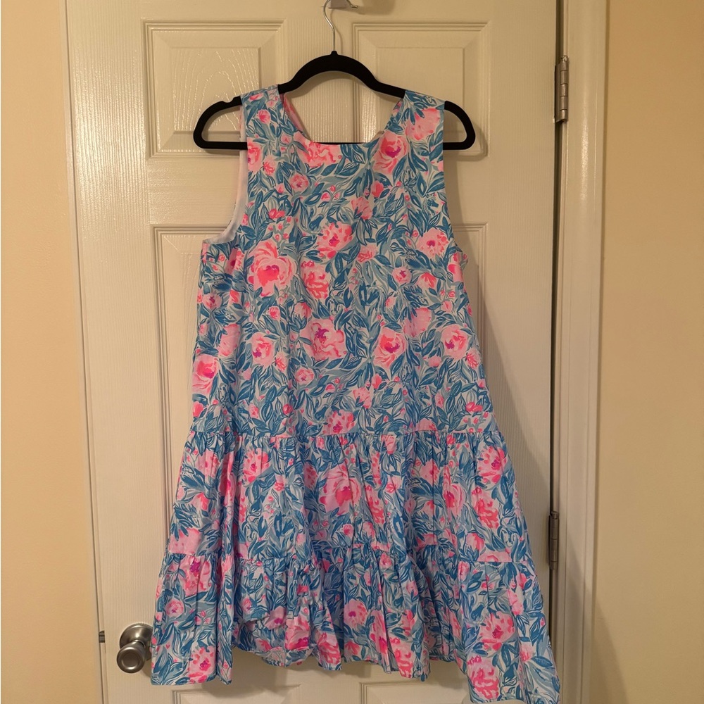 Lilly Pulitzer Pink and Blue Floral Dress